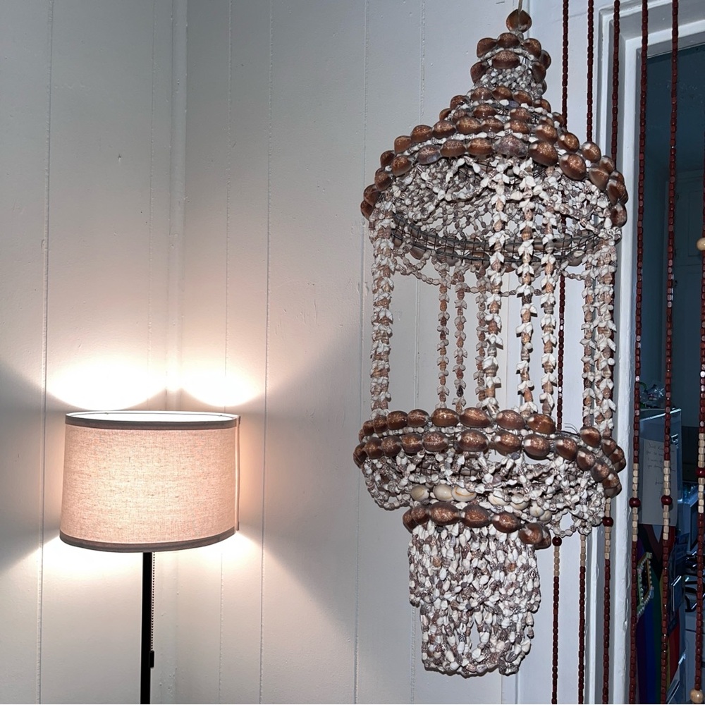 Elegant Brown and White seashell Chandelier